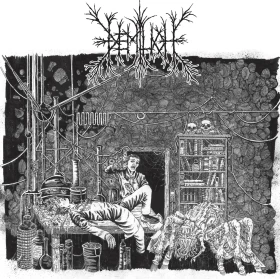 DEMILICH · Em9t2ness Of Van2s1ing / V34ish6ng 0f Emptiness | CLEAR/BLACK SMOKE 2LP (Death Metal Vinyl) · Picture 1
