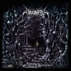UNANIMATED · In The Forest Of The Dreaming Dead | TRANSPARENT BLUE 2LP (Death Metal Vinyl) · Picture 1