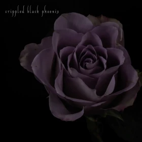 CRIPPLED BLACK PHOENIX · Painful Reminder / Dead Is Dead | GOLD/PURPLE 10" LP (Progressive Rock Vinyl) · Picture 1
