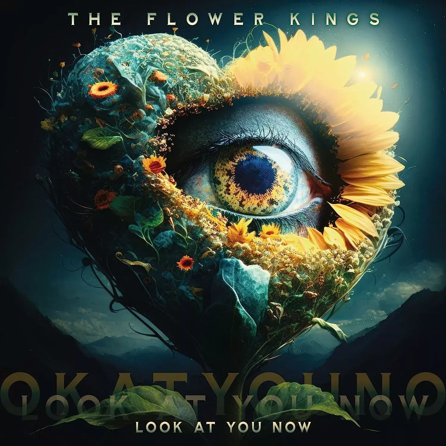 THE FLOWER KINGS · Look At You Now | BLACK 2LP (Progressive Rock Vinyl) · Picture 1