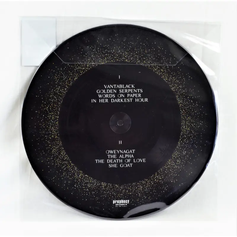 DOOL · Here Now, There Then | PICTURE LP (Hard Rock/Progressive Rock Vinyl) · Picture 3