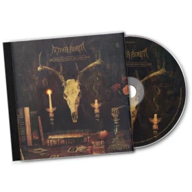 AETHER REALM · Redneck Vikings From Hell | CD (Melodic Death Metal CDs) · Picture 2