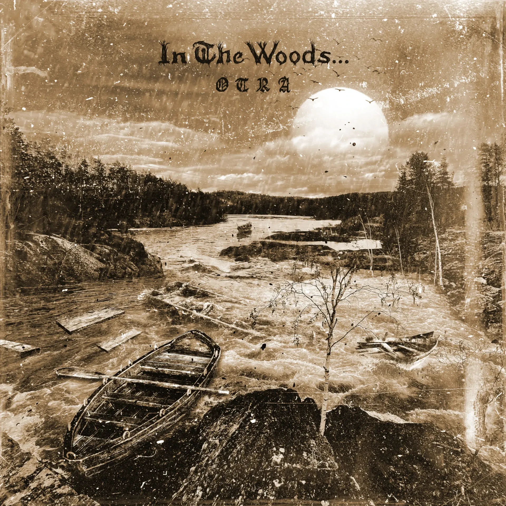 IN THE WOODS... · Otra | BLACK LP (Black Metal/Progressive Metal Vinyl) · Picture 1