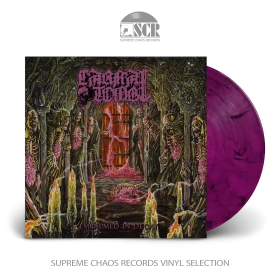 CARNAL TOMB · Embalmed In Decay | MAGENTA/BLACK MARBLED LP (Death Metal Vinyl)