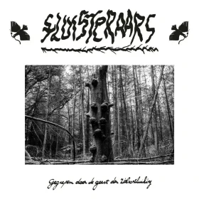 FLUISTERAARS · Gegrepen Door De Geest Der Zielsontluiking | BLACK LP (Black Metal Vinyl) · Picture 1
