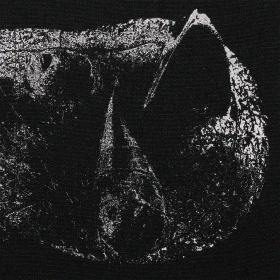 DEMON HEAD · Viscera | CLEAR ASH GREY LP (Hard Rock Vinyl) · Picture 1
