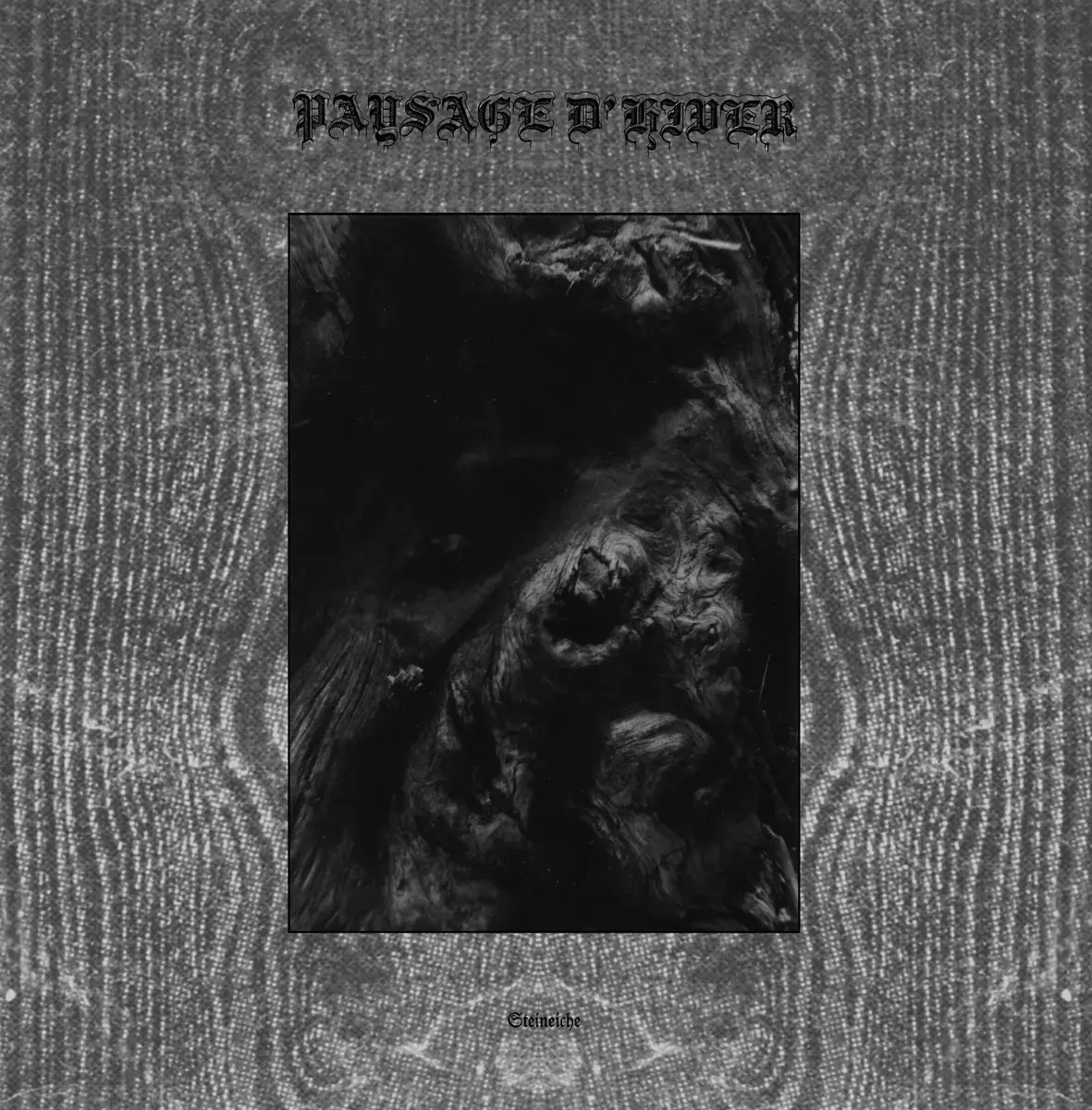 PAYSAGE D'HIVER · Steineiche | BLACK 2LP (Black Metal Vinyl) · Picture 1