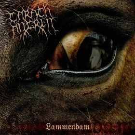 CARACH ANGREN · Lammendam | ORANGE/BLACK MARBLED 2LP (Black Metal Vinyl) · Picture 1