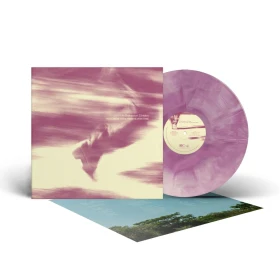 BEES MADE HONEY IN THE VEIN TREE · In Between Strides | PURPLE WHITE GALAXY LP (Psychedelic Rock/Doom Metal Vinyl) · Picture 2