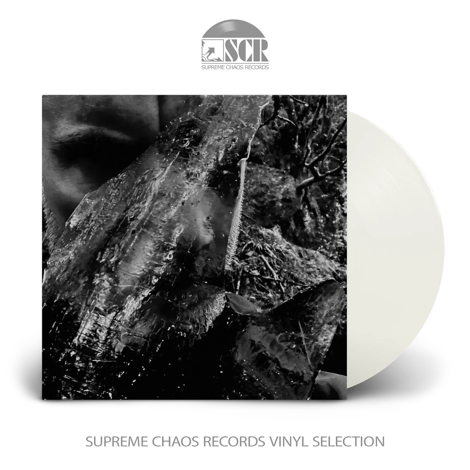 TAAKE · En Skog Av Nidstang | CLEAR LP (Black Metal Vinyl)