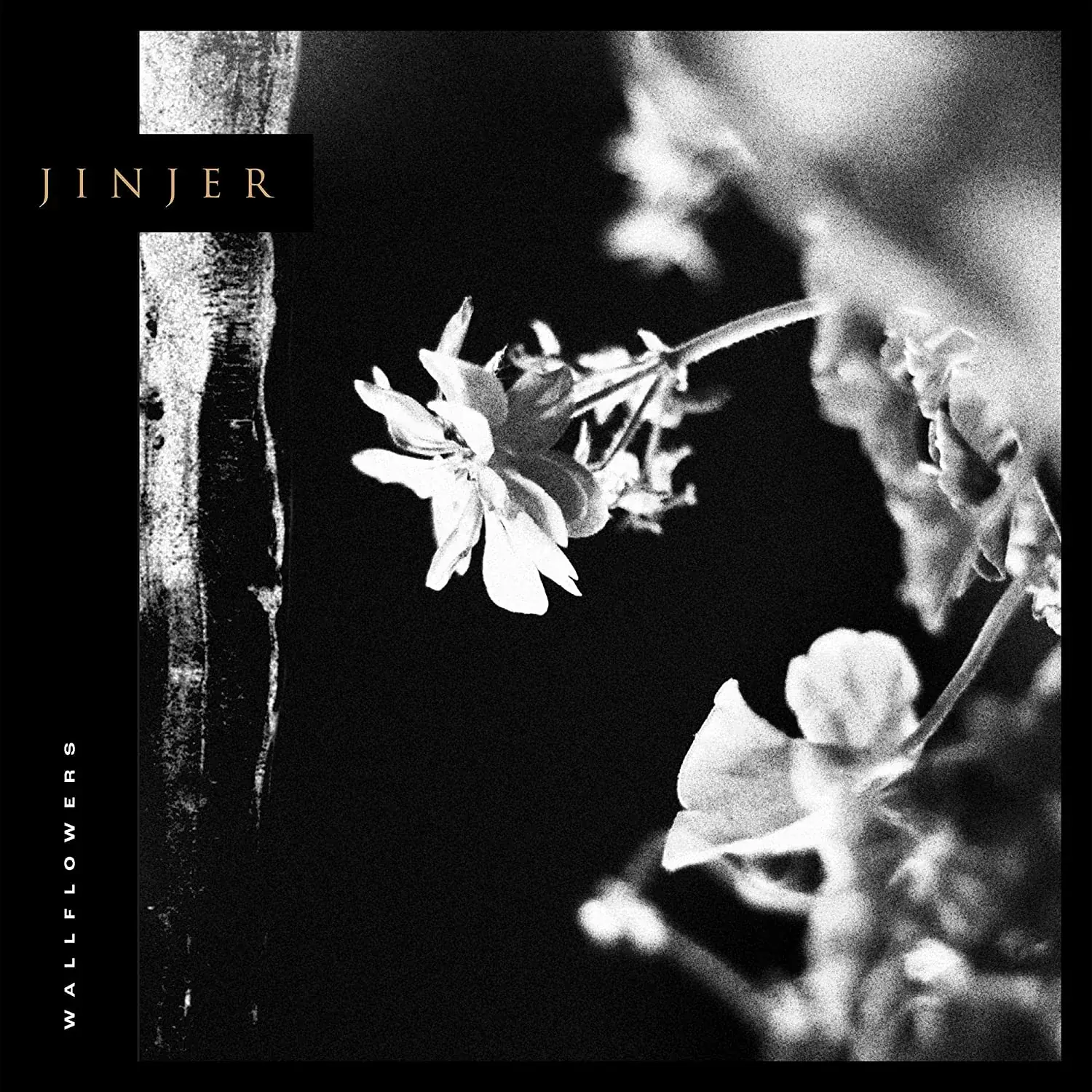 JINJER · Wallflowers | BLACK LP (Progressive Metal Vinyl) · Picture 1