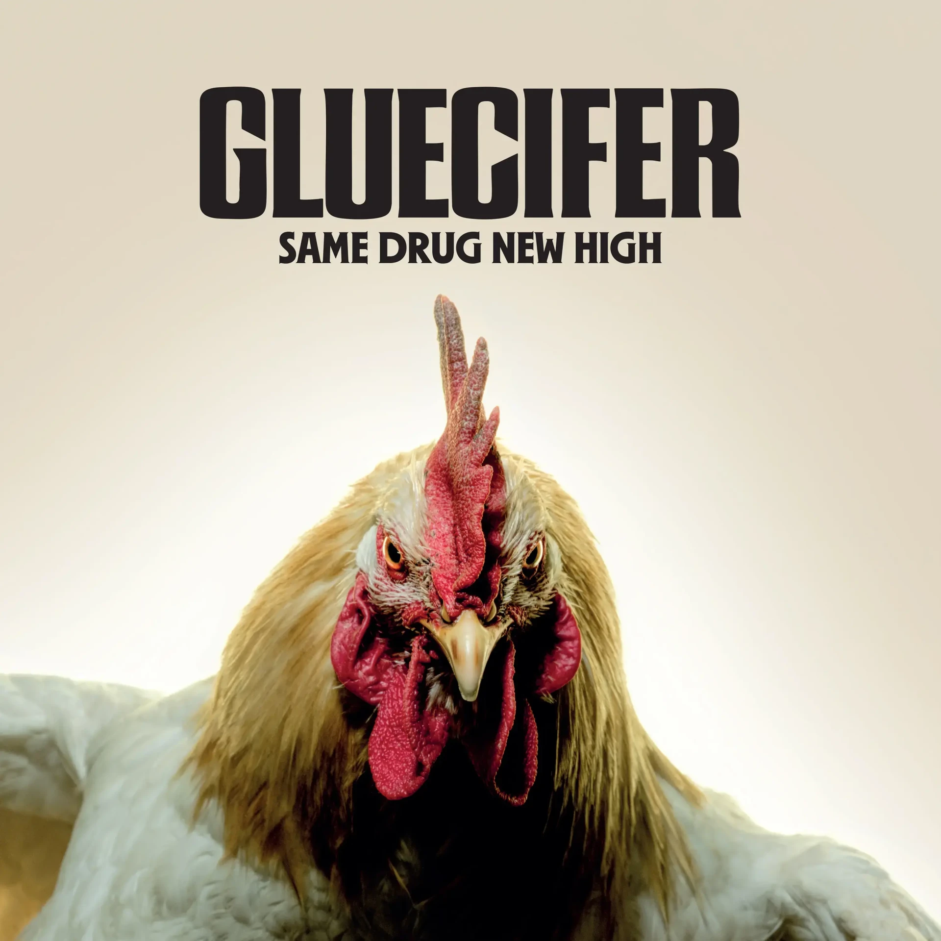 GLUECIFER · Same Drug New High | DIGIPAK CD (Hard Rock CDs)