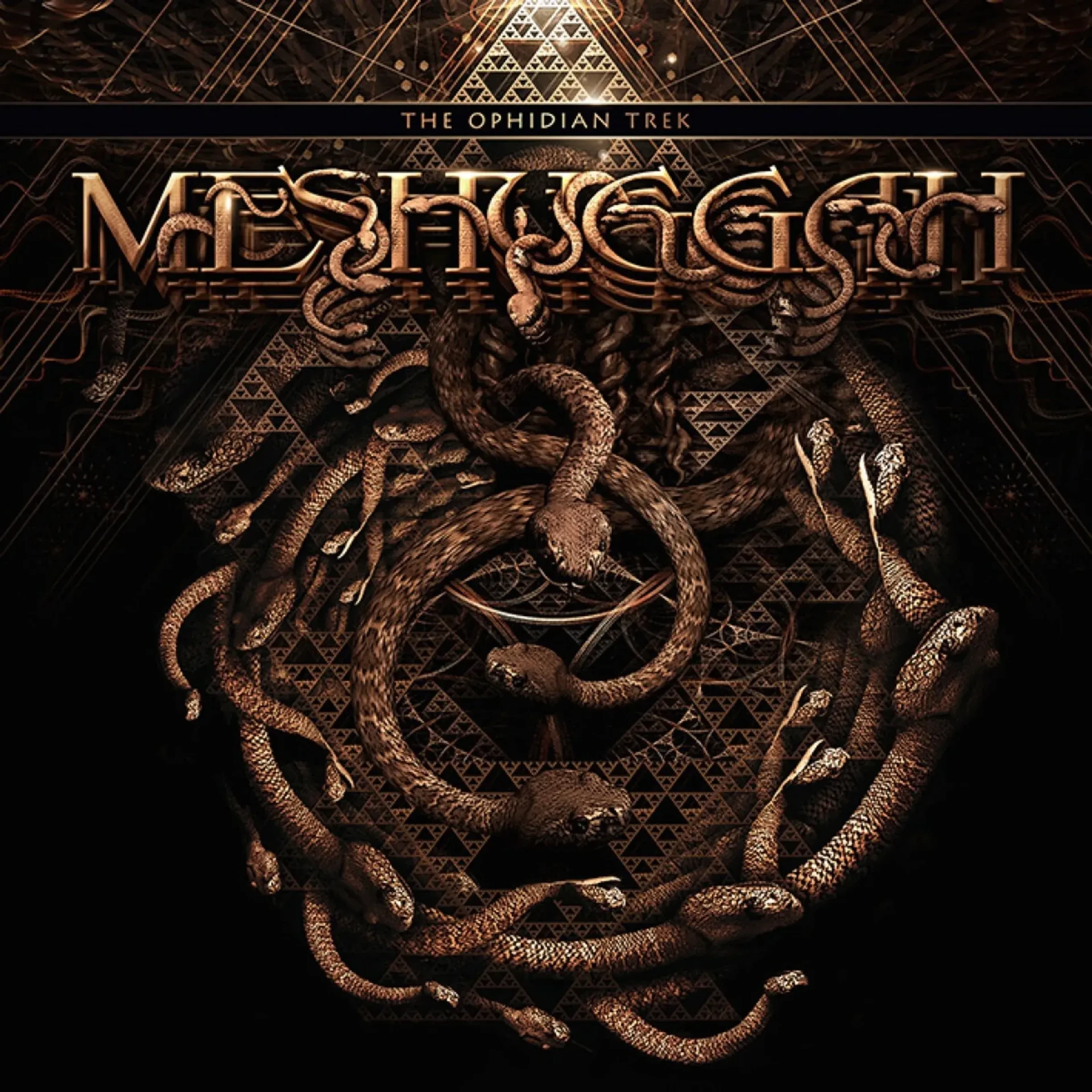 MESHUGGAH · The ophidian trek | GOLD 2LP (Progressive Metal Vinyl) · Picture 1