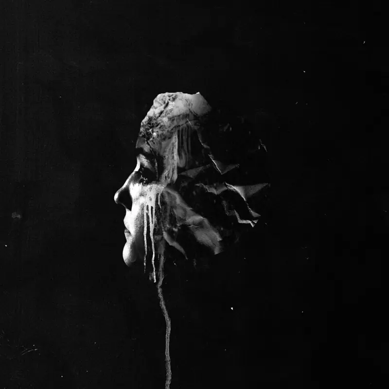 FVNERALS · The Light | BLACK LP (Doom Metal Vinyl) · Picture 1
