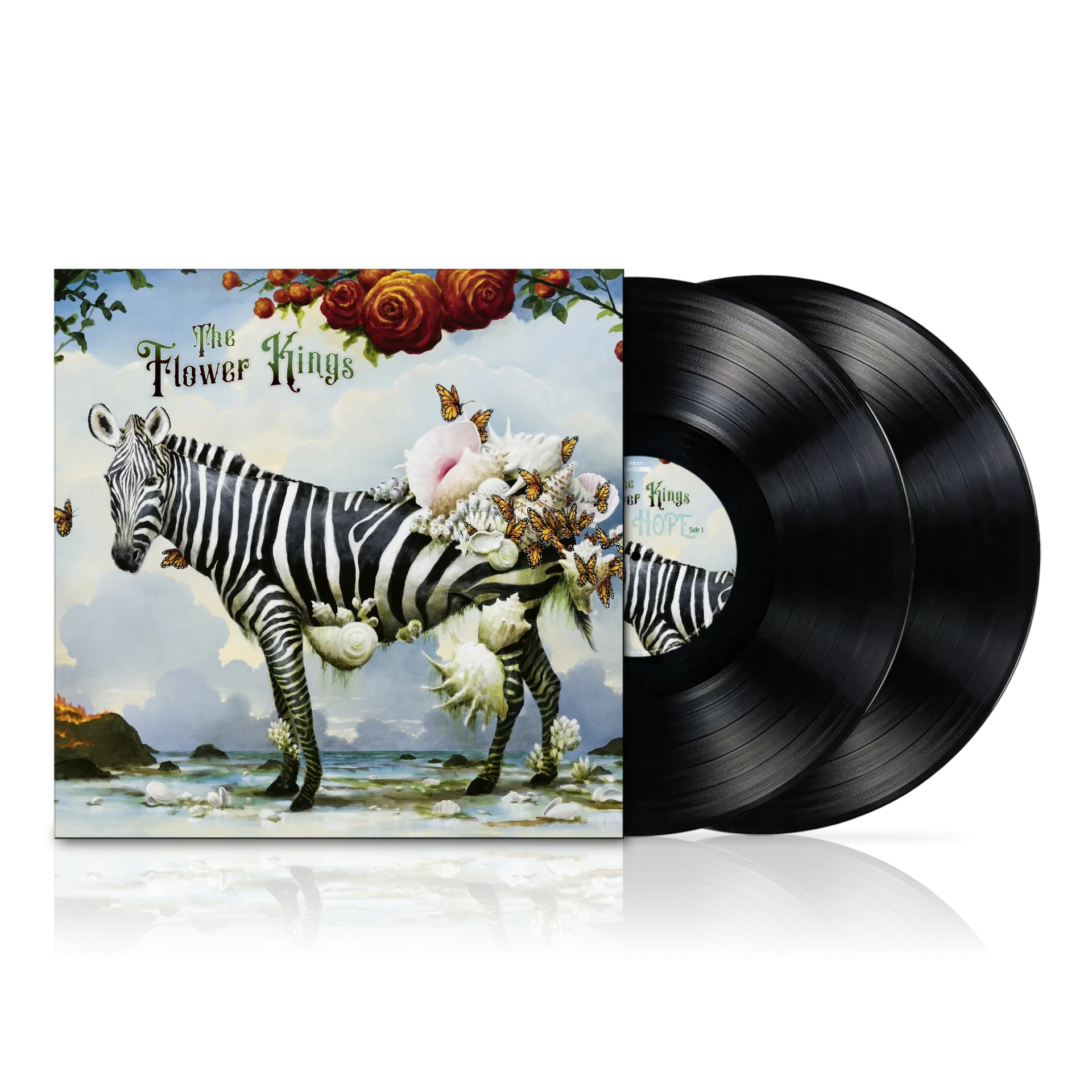 THE FLOWER KINGS - Hope [BLACK 2LP] (Classic Rock/Progressive Rock Vinyl) · Picture 2