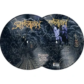 SUFFOCATION · Pierced From Within | PICTURE DISC LP (Death Metal Vinyl) · Picture 2