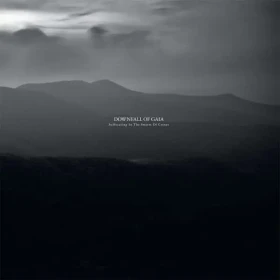 DOWNFALL OF GAIA · Suffocating In The Swarm Of Cranes | CLEAR/BLACK DLP (Post Metal Vinyl) · Picture 1