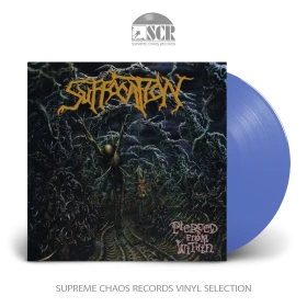 SUFFOCATION · Pierced From Within | TRANSPARENT BLUE LP (Death Metal Vinyl)