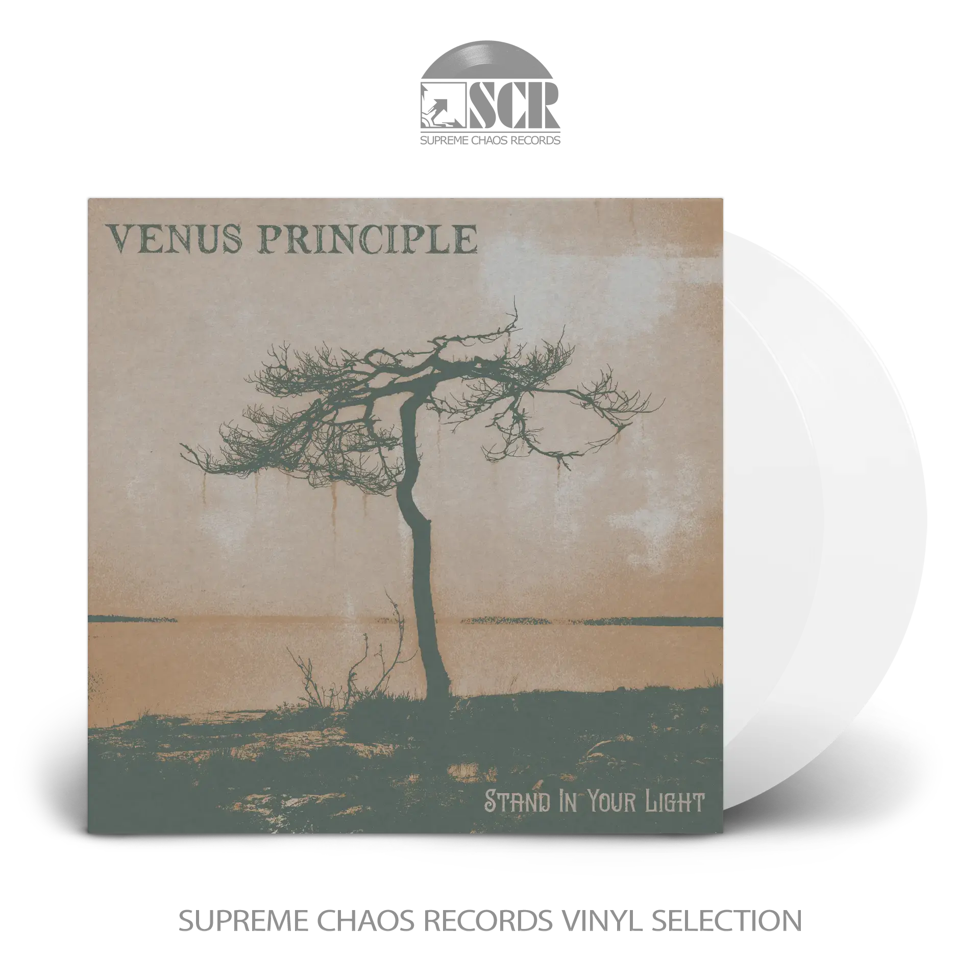 VENUS PRINCIPLE · Stand in Your Light | CLEAR 2LP (Dark Rock Vinyl)