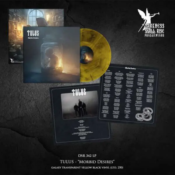 TULUS · Morbid Desires | TRANSPARENT YELLOW/BLACK GALAXY LP (Black Metal Vinyl) · Picture 3