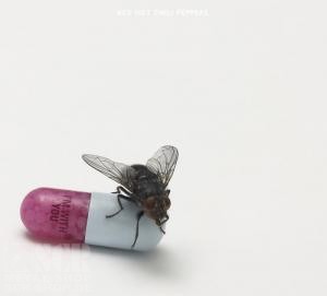 RED HOT CHILI PEPPERS · I´m With You | DIGI (Alternative Rock CDs)