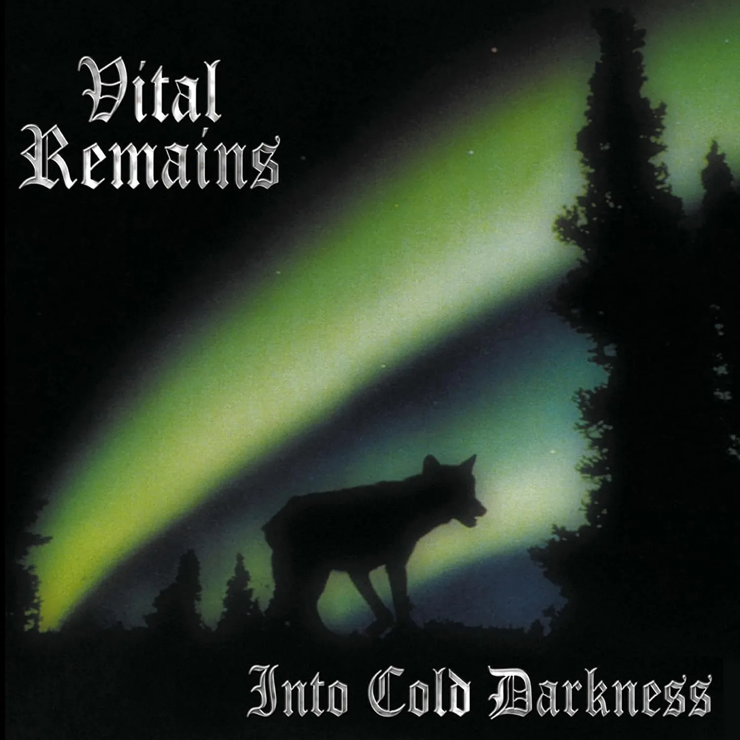 VITAL REMAINS · Into Cold Darkness (30th Anniversary) | DARK GREEN LP (Death Metal Vinyl) · Picture 1