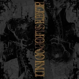BLACK SLEEP OF KALI / UNION OF SLEEP · Split | BLACK LP (Sludge Vinyl) · Picture 1