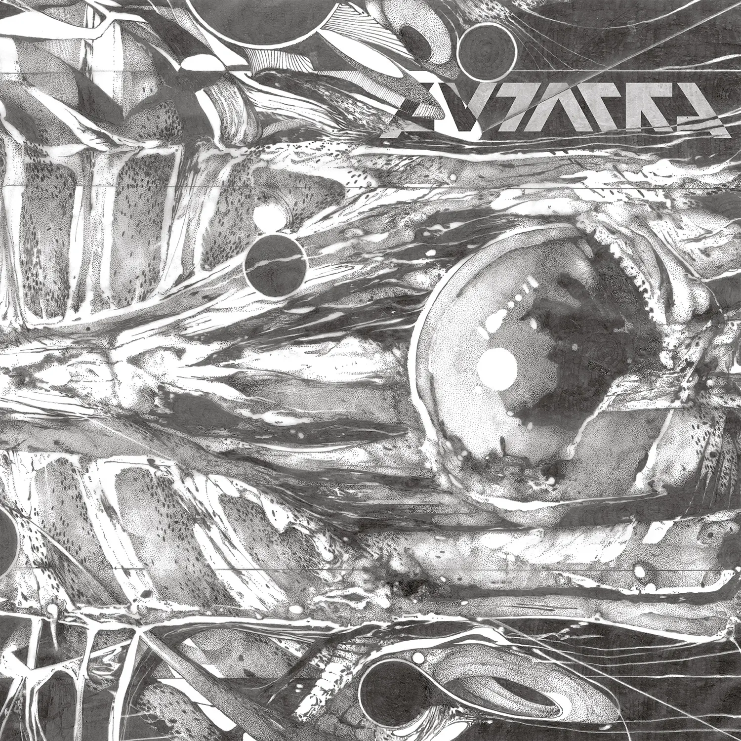 AUTARKH · Form in Motion [BLACK] | DLP (Black Metal Vinyl) · Picture 1