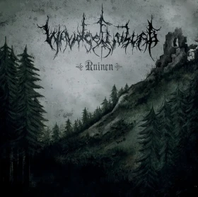 WALDGEFLÜSTER · Ruinen | MULTI-COLORED 2LP (Black Metal Vinyl) · Picture 1