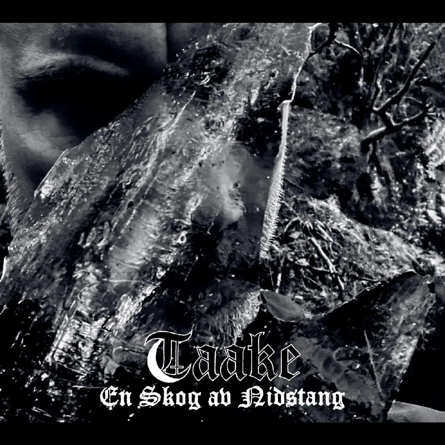 TAAKE · En Skog Av Nidstang | DIGIPAK CD (Black Metal CDs)