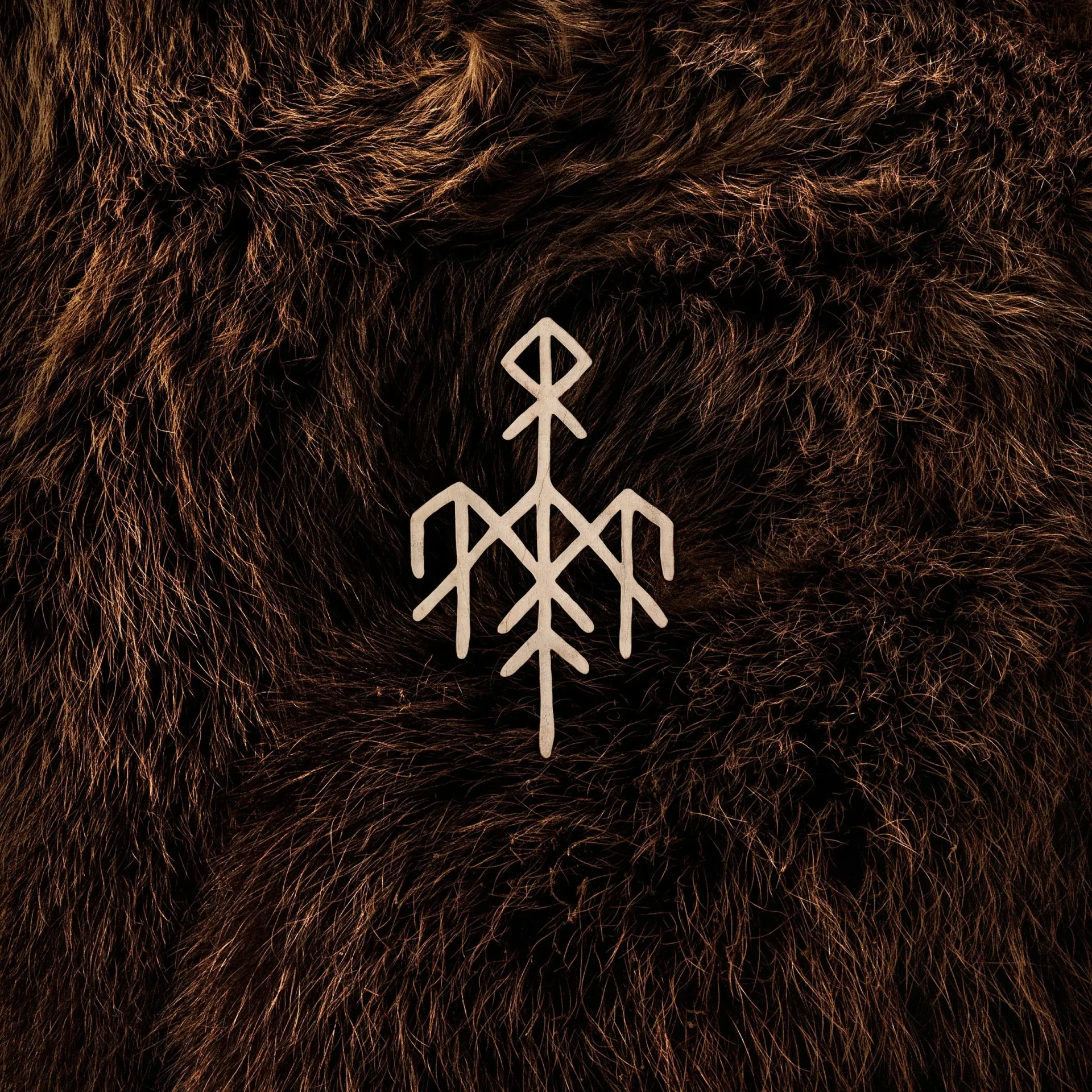 WARDRUNA - Birna · BLACK 2LP 1