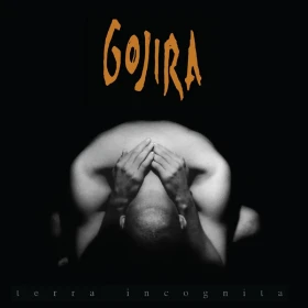 GOJIRA · Terra Incognita | SILVER/BLACK MARBLED 2LP (Death Metal/Progressive Metal Vinyl) · Picture 1