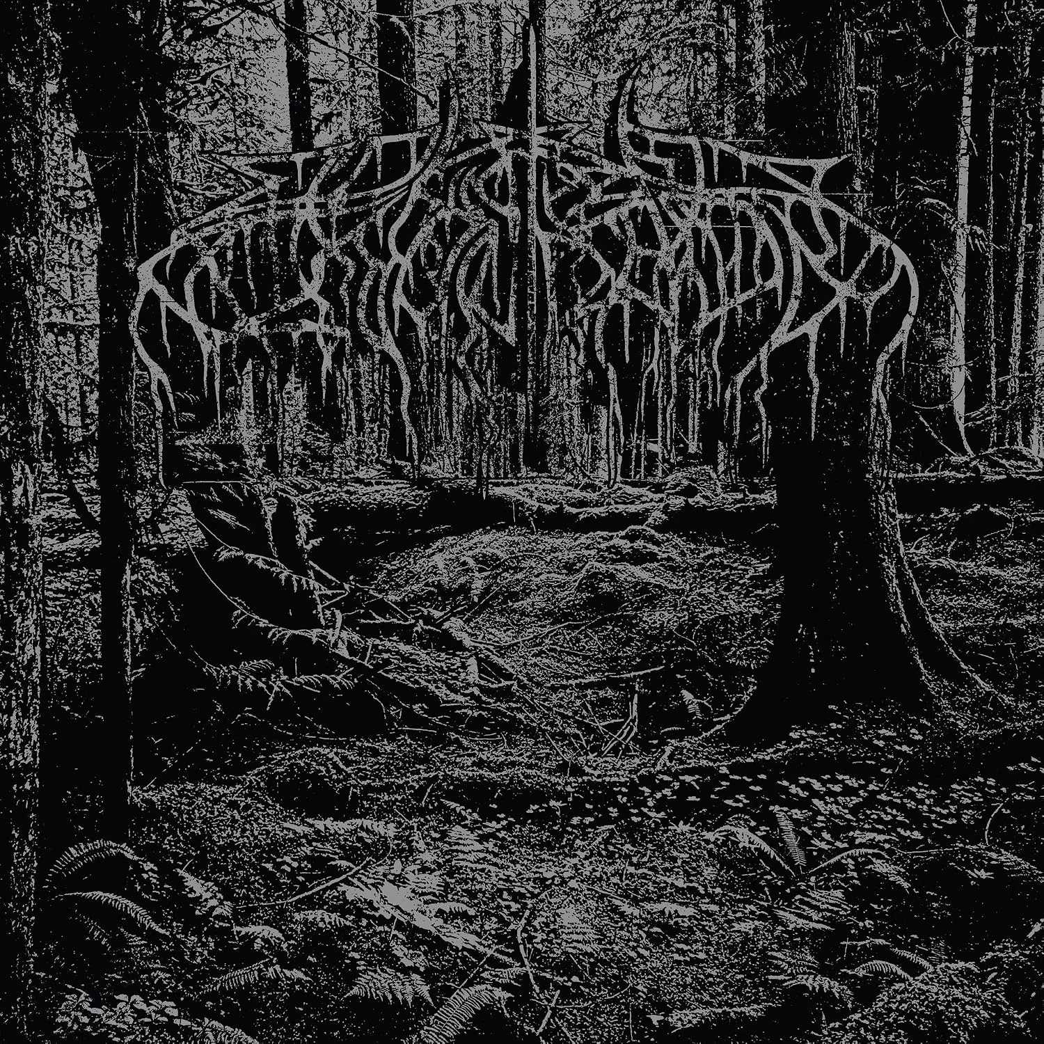 WOLVES IN THE THRONE ROOM - 2005 Demo [BLACK ICE LP] (Black Metal Vinyl) · Picture 1