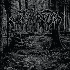WOLVES IN THE THRONE ROOM - 2005 Demo [BLACK ICE LP] (Black Metal Vinyl) · Picture 1