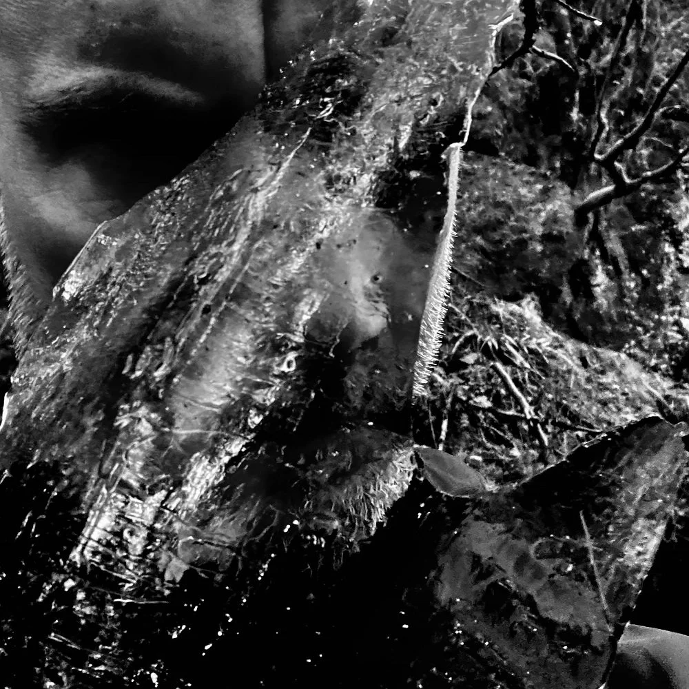 TAAKE · En Skog av Nidstang | WHITE LP (Black Metal Vinyl) · Picture 1