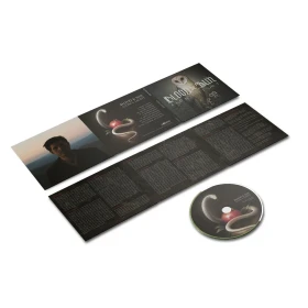 BLOOD AND SUN - Aion's Light [DIGISLEEVE CD] (Neofolk CDs) · Picture 2