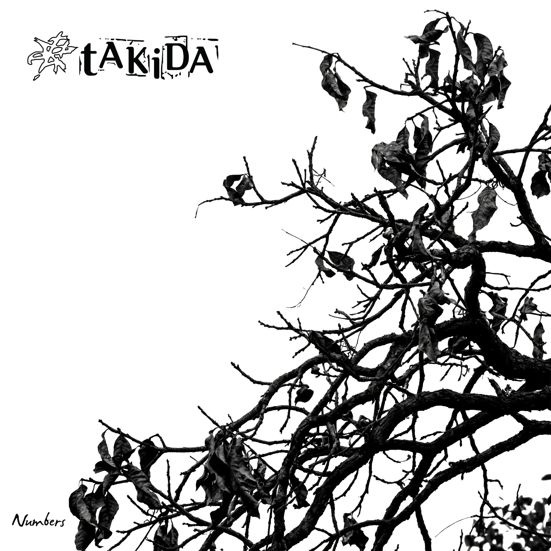 TAKIDA · Numbers | BLACK LP (Pop Rock Vinyl) · Picture 1