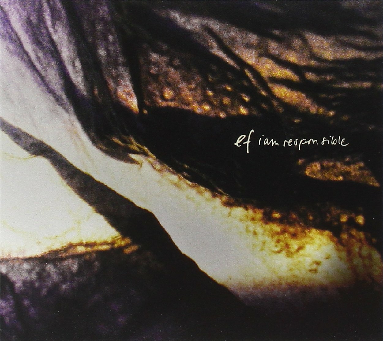EF · I Am Responsible | CD (Progressive Rock CDs)
