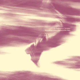 BEES MADE HONEY IN THE VEIN TREE · In Between Strides | PURPLE WHITE GALAXY LP (Psychedelic Rock/Doom Metal Vinyl) · Picture 1