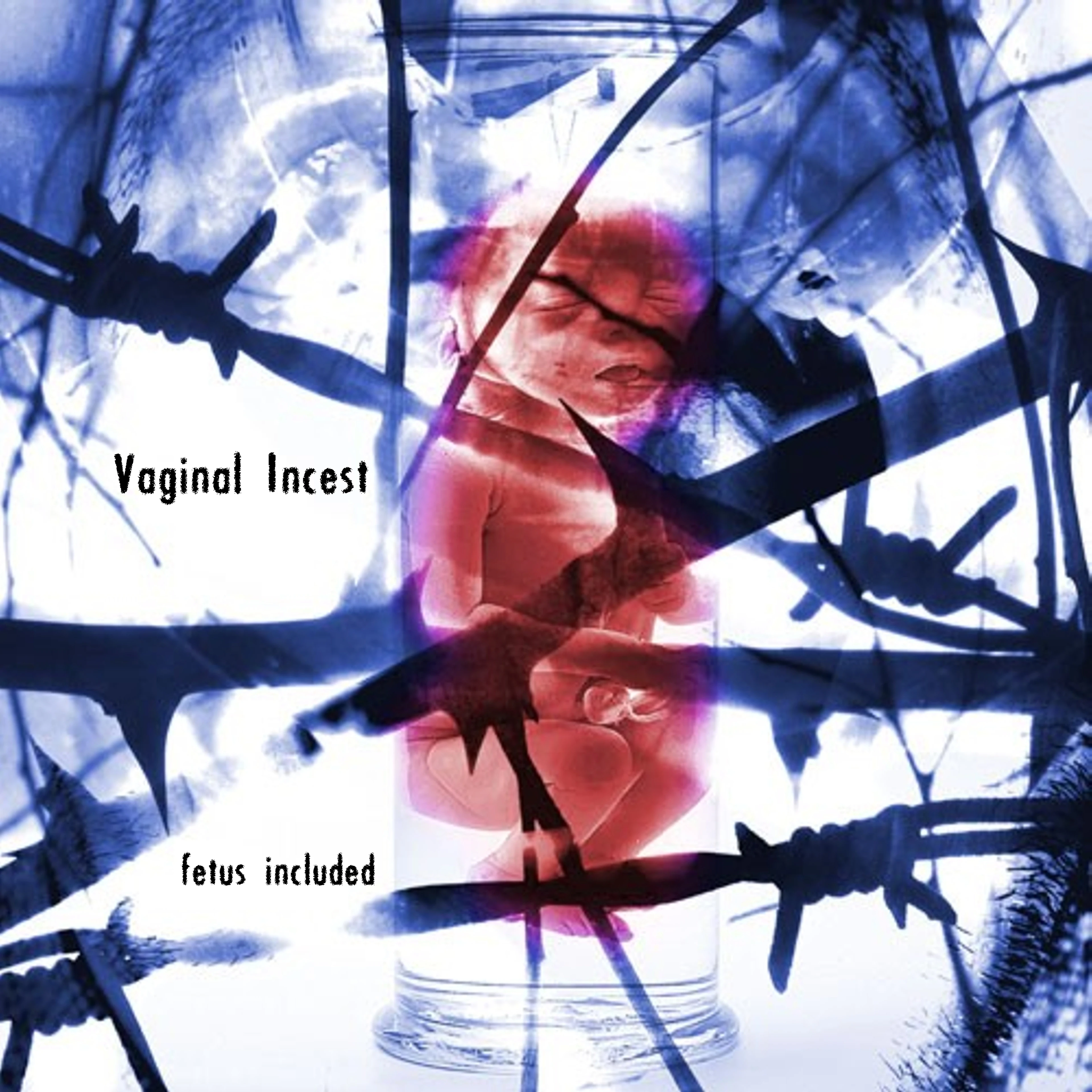 INHUMATE / VAGINAL INCEST · Split | BLACK 7" EP (Grindcore Vinyl) · Picture 1