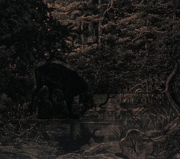 AGALLOCH · Of Stone, Wind, & Pillor (Remastered) | DIGIPAK CD (Dark Metal CDs)