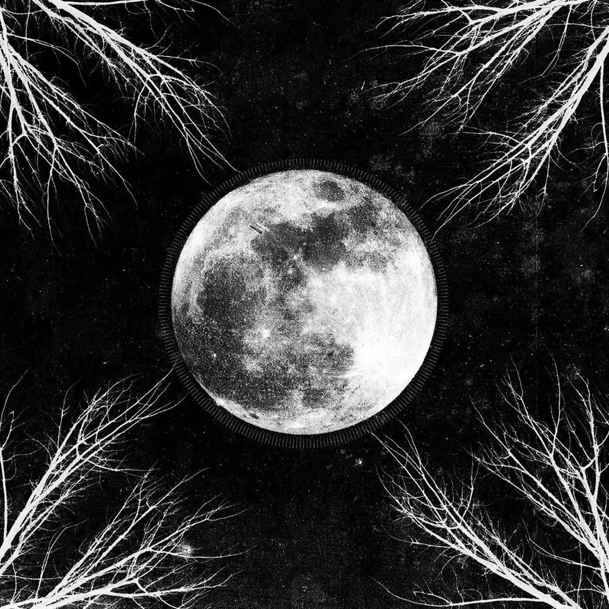 CORPUS CHRISTII · Palemoon [BLACK] | LP (Black Metal Vinyl) · Picture 1