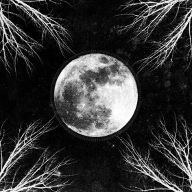 CORPUS CHRISTII · Palemoon [BLACK] | LP (Black Metal Vinyl) · Picture 1