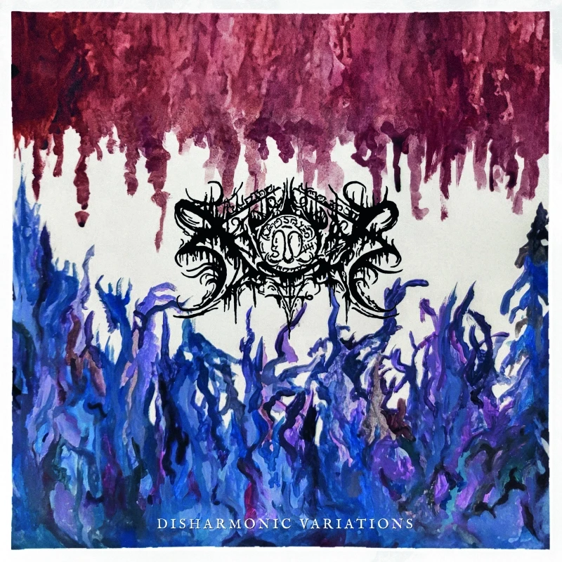 XASTHUR · Disharmonic Variations | BLACK LP (Acid/Folk/Ambient Vinyl) · Picture 1