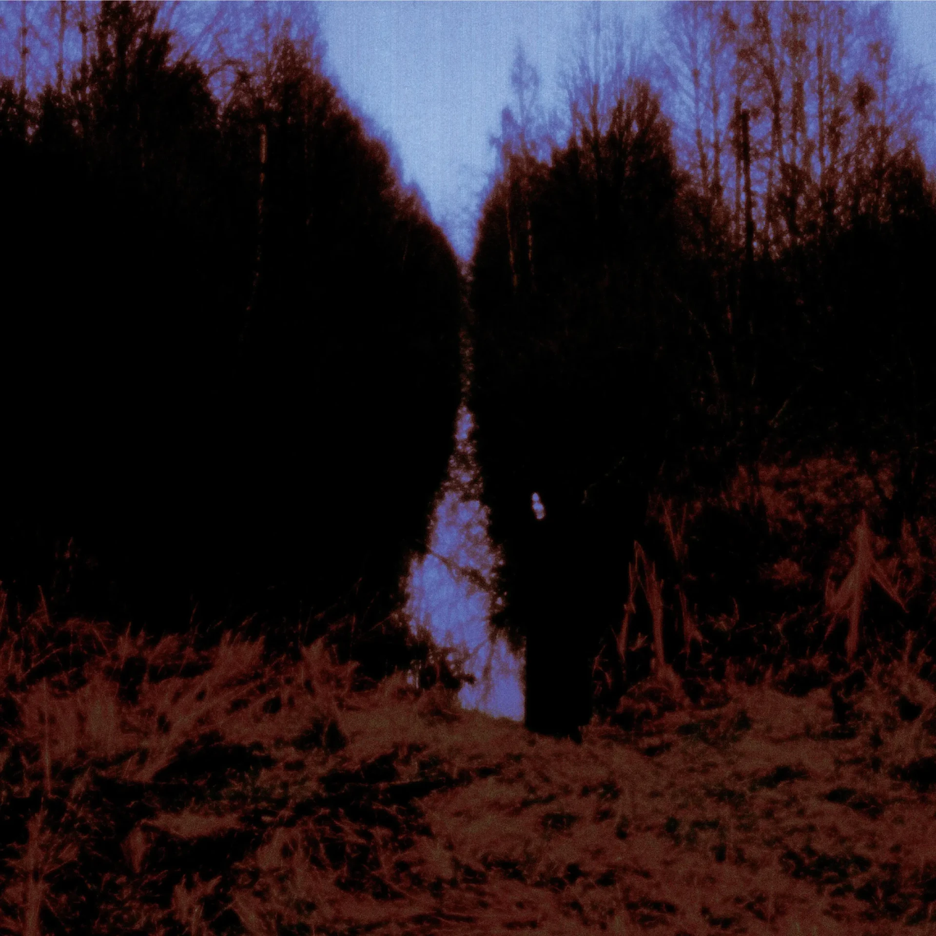 OPETH · My Arms, Your Hearse | BLACK 2LP (Death Metal/Progressive Metal Vinyl) · Picture 1