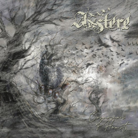 AUSTERE · Corrosion of Hearts | BLACK LP (Black Metal Vinyl) · Picture 1