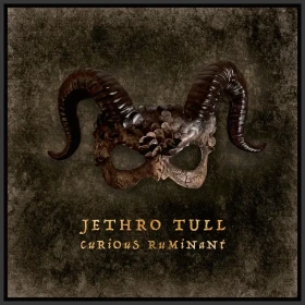 JETHRO TULL · Curious Ruminant | BLACK 180G LP (Rock / Art Rock / Prog Rock / Folk Rock Vinyl) · Picture 1