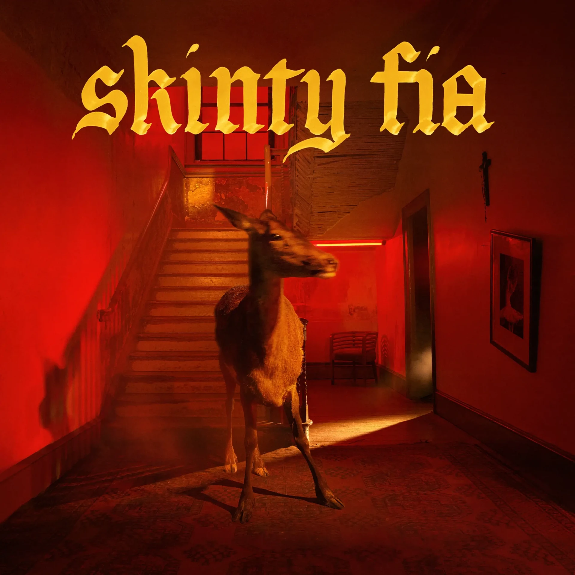 FONTAINES D.C. · Skinty Fia | BLACK LP (Alternative Rock Vinyl) · Picture 1