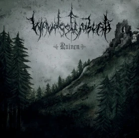 WALDGEFLÜSTER · Ruinen | MULTI-COLORED 2LP (Black Metal Vinyl) · Picture 1