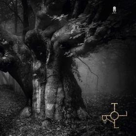 DROTT · Troll | BLACK LP (Progressive Rock/Folk Rock Vinyl) · Picture 1